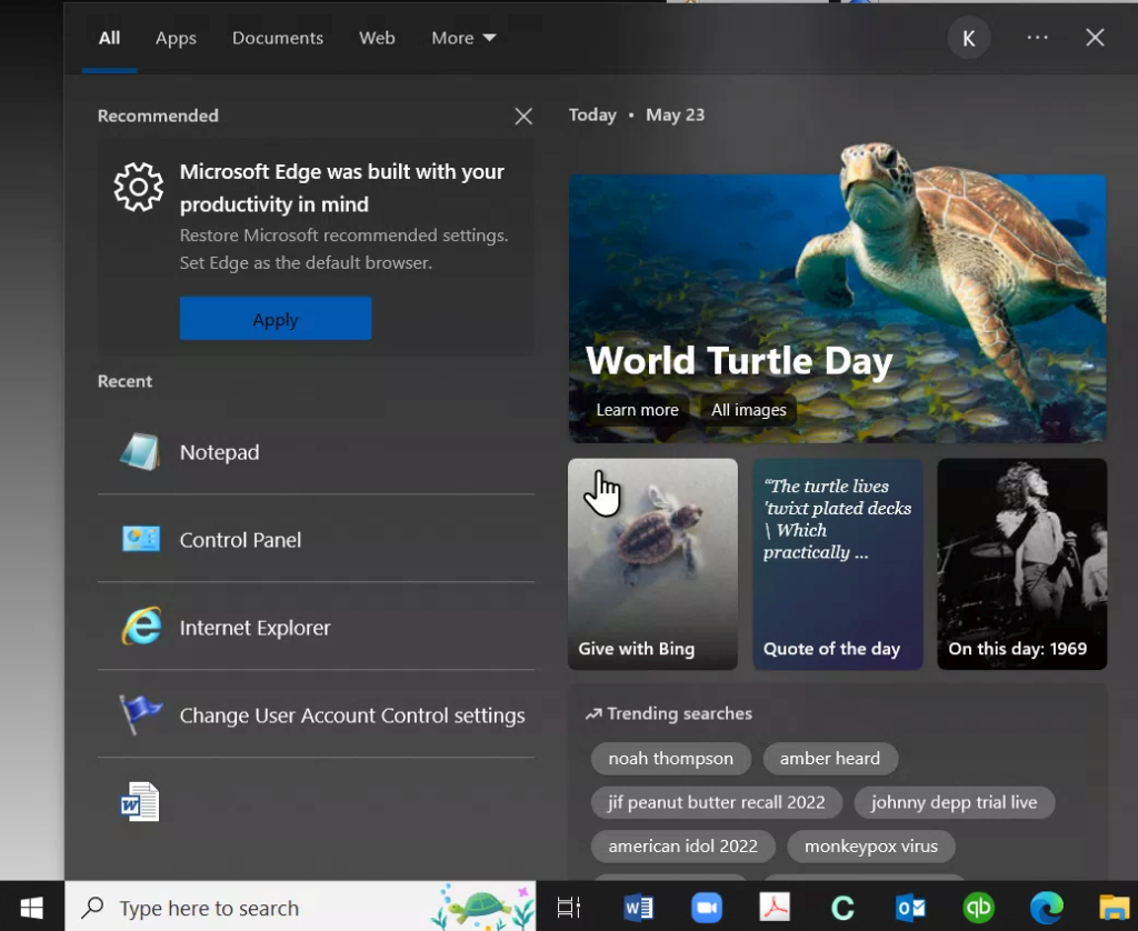 Windows 10 Searchbar Turtle Day